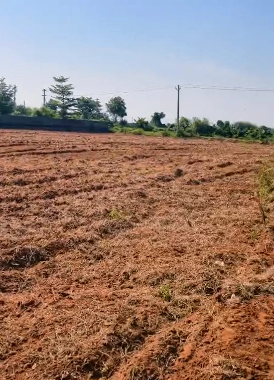 JR8Q+Q7 Devarkadra, Mahabubnagar, Telangana, India