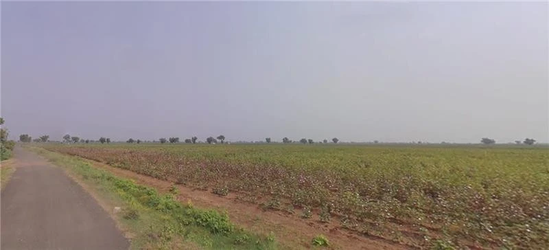 Rajpur, Gujarat 382225, India