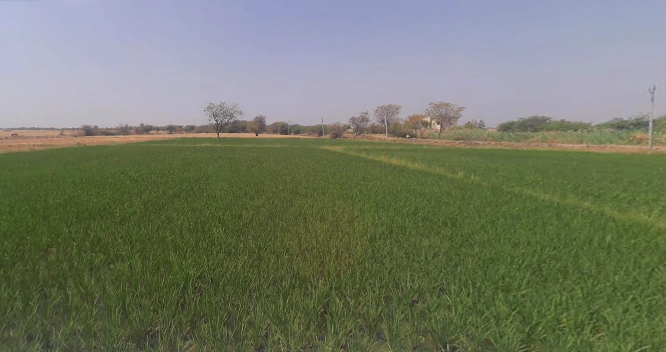 Pipariya, Gujarat, India