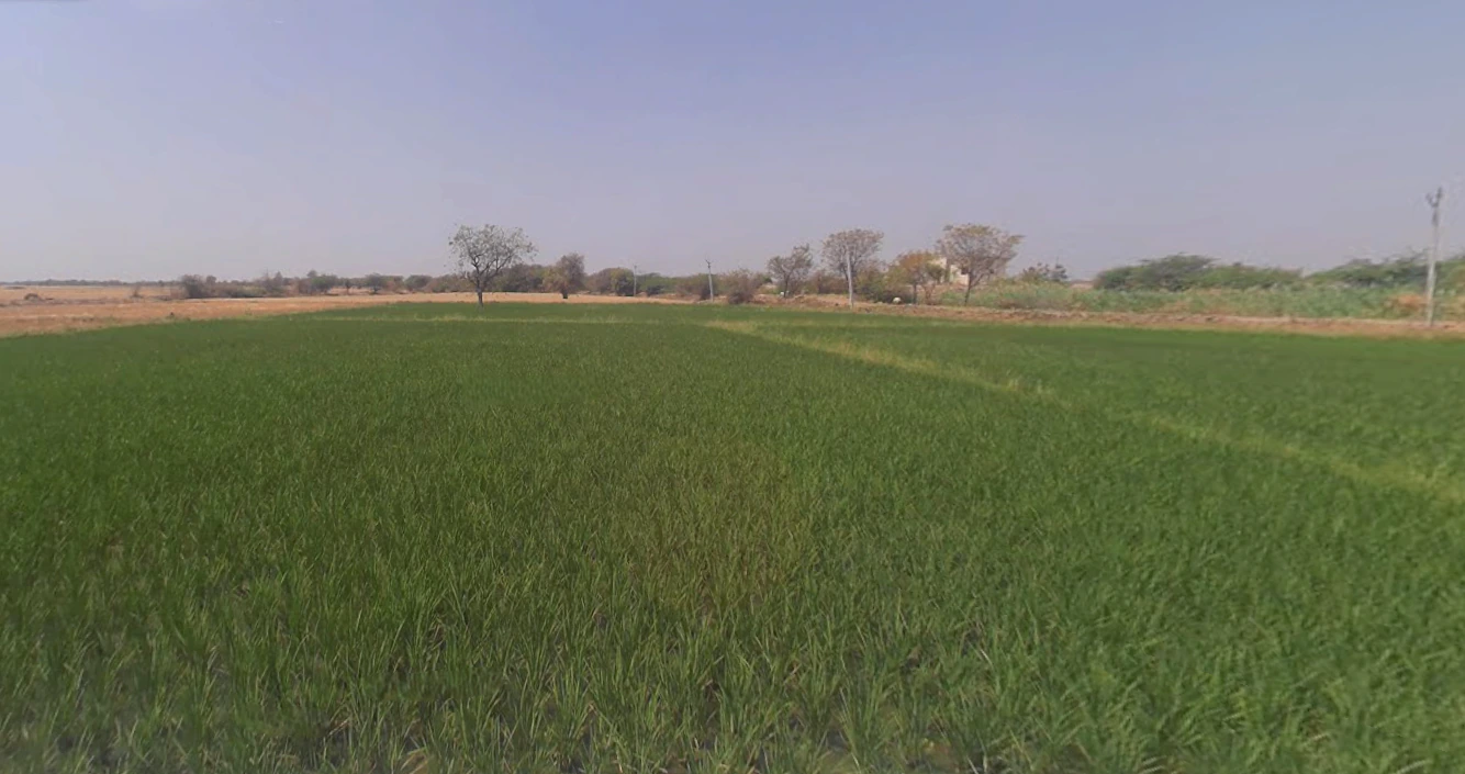 Pipariya, Gujarat, India