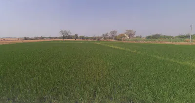 Pipariya, Gujarat, India preview 3