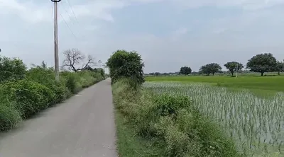 Astauli, Gautam Buddha Nagar, Uttar Pradesh 203202, India preview 3