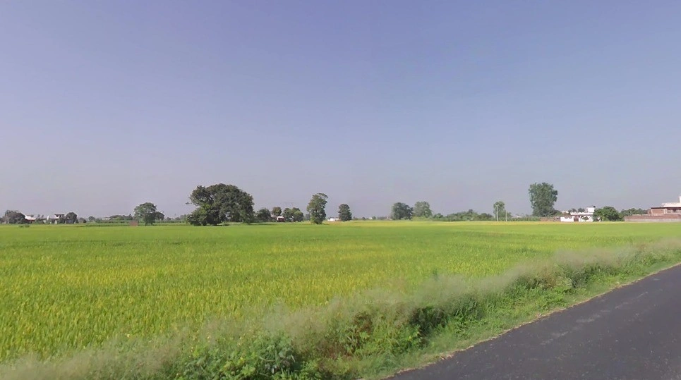 Kodia, Chhattisgarh 491001, India