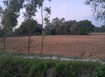 Kishangarh, Punjab 144301, India preview 3