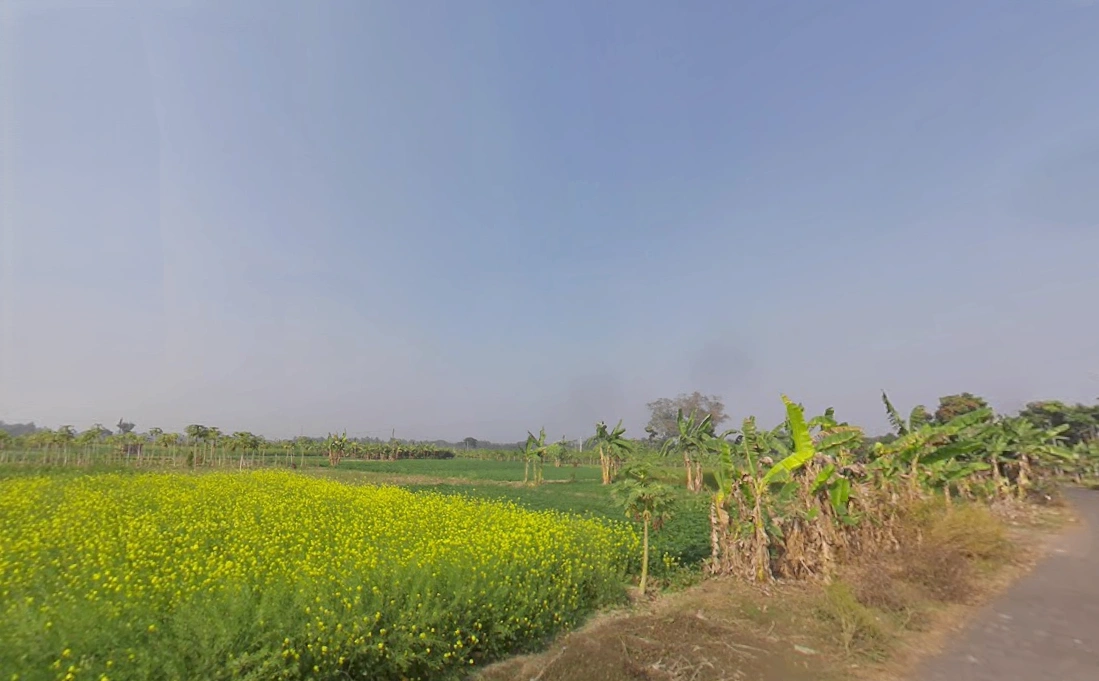 Sendanga, West Bengal 743272, India