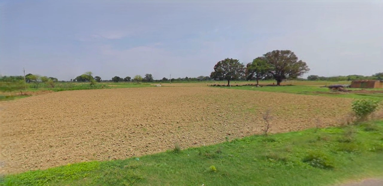 Barnagar, Madhya Pradesh 456771, India