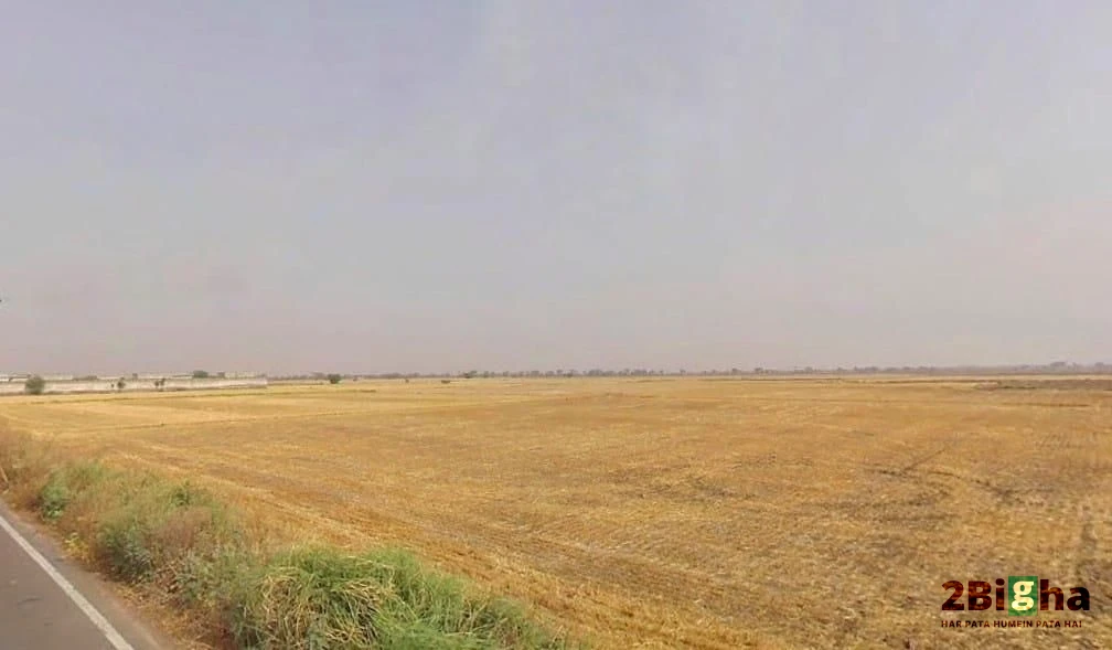 Goriwala, Haryana 125103, India