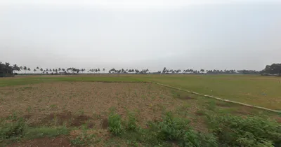 Laxmiprasad, Odisha 752077, India preview 2
