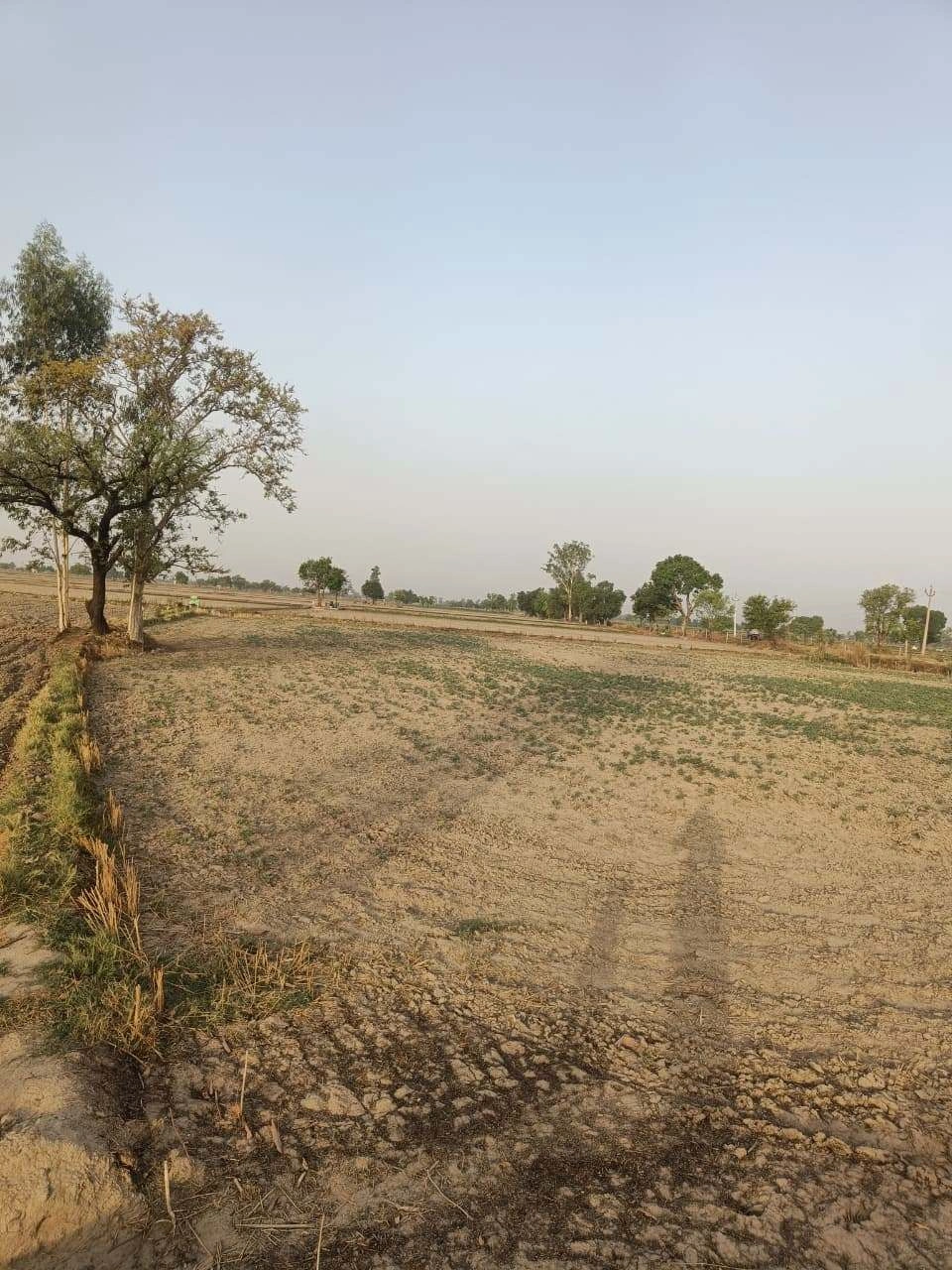 Mungari, Prayagraj, Uttar Pradesh, India