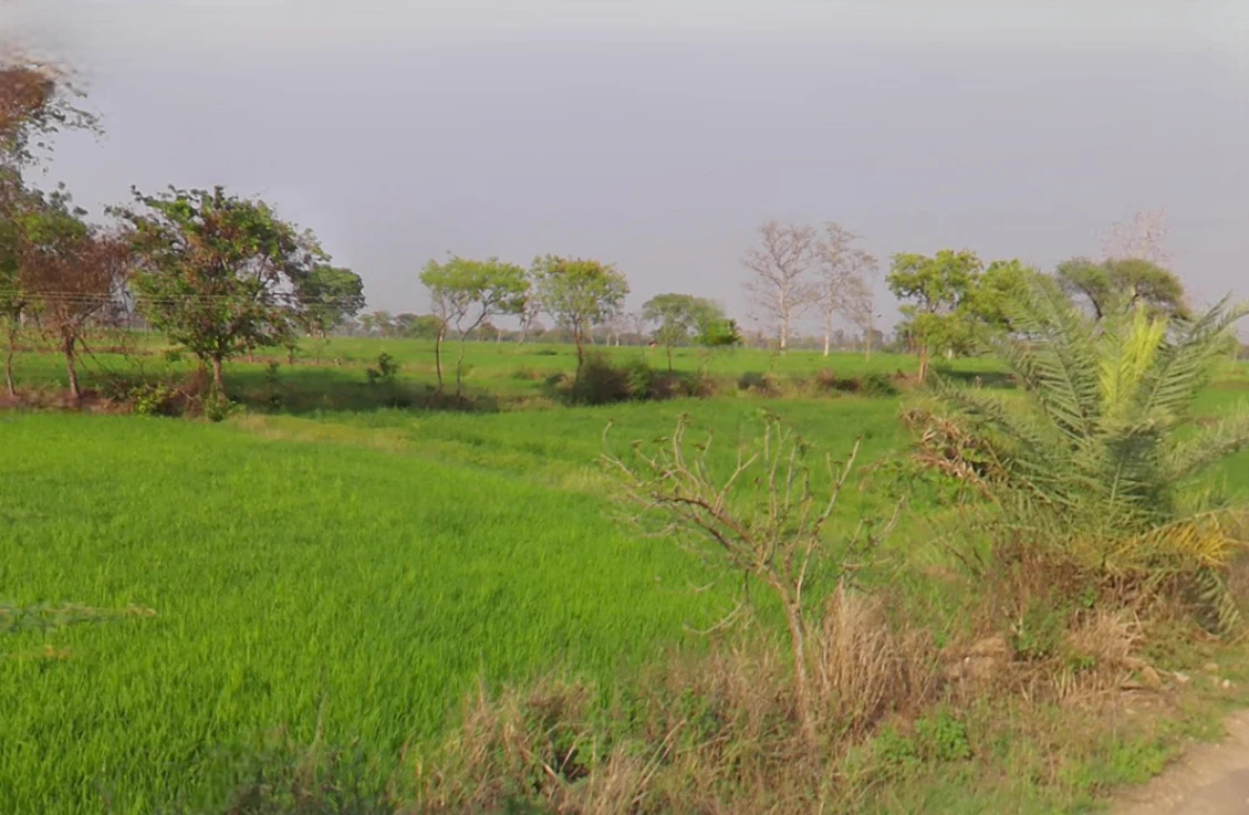 Tum Gaon, Chhattisgarh 493445, India