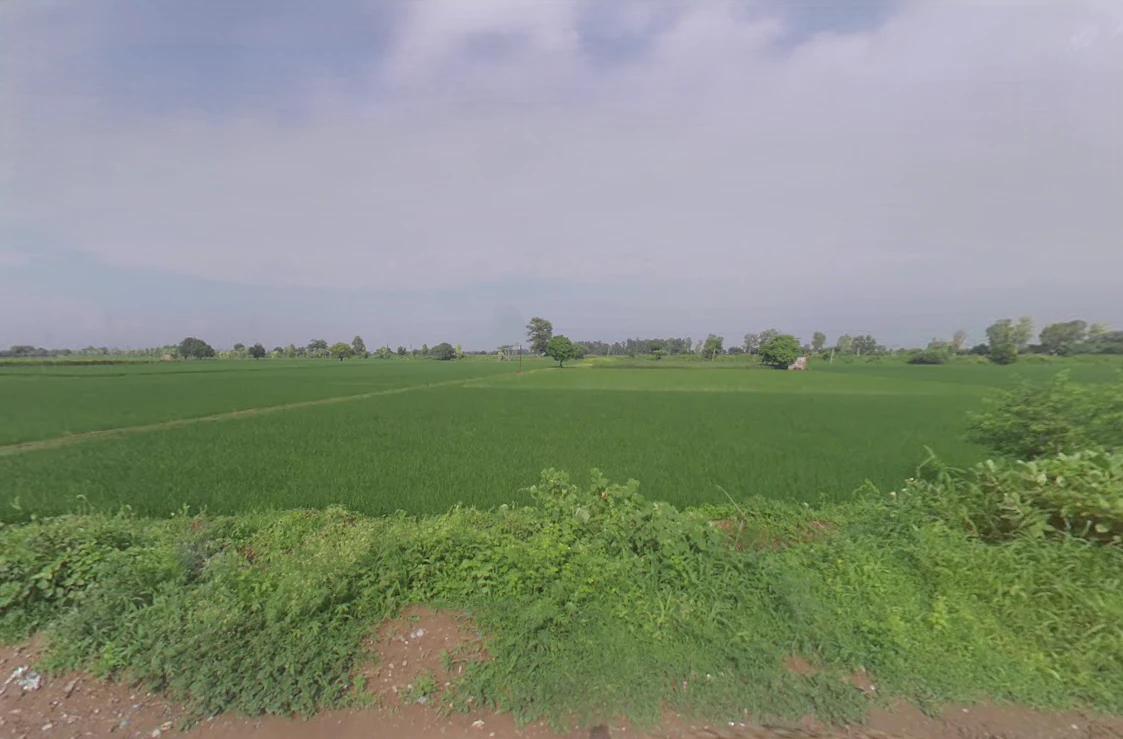 Chaudhariwas, Haryana 125007, India