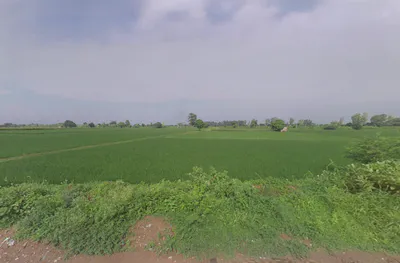 Chaudhariwas, Haryana 125007, India preview 3