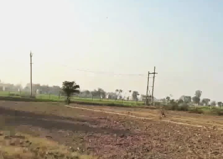 Chirsi, Haryana 121101, India