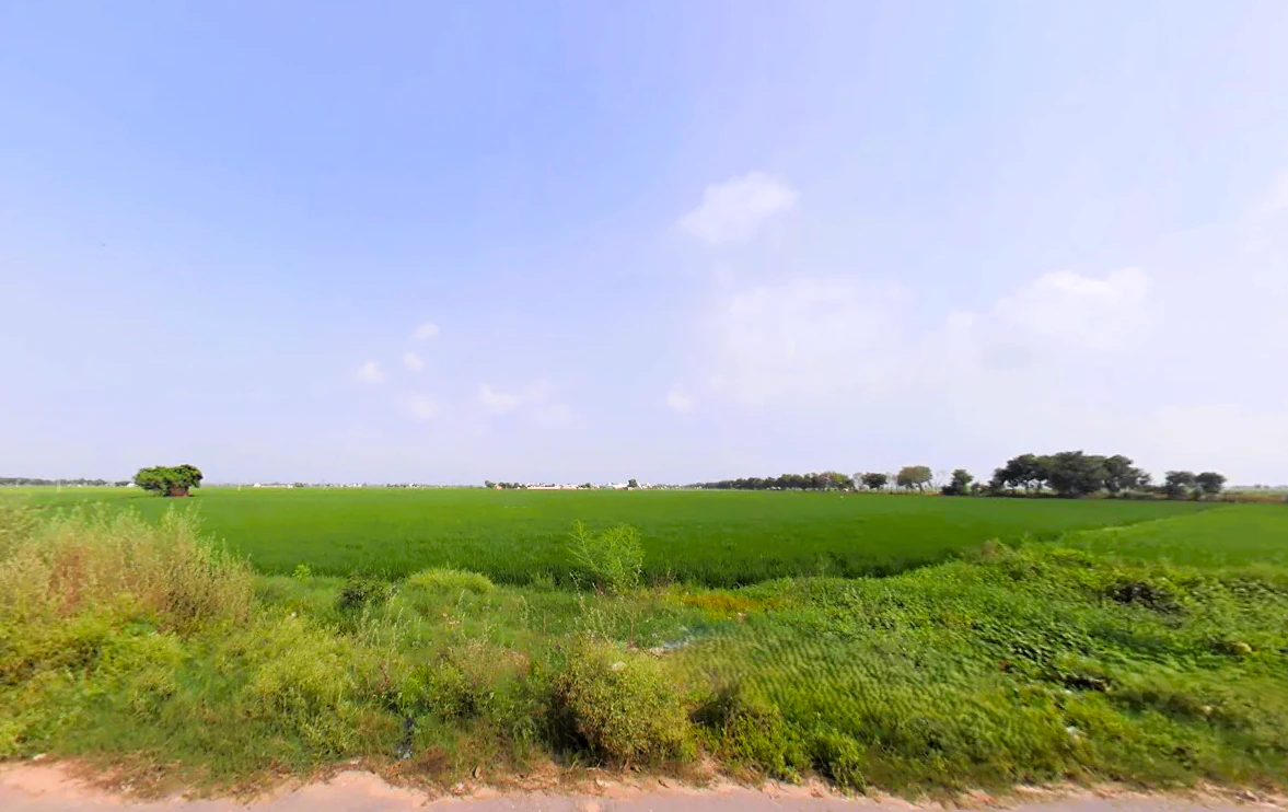 Lukhi, Haryana 136119, India