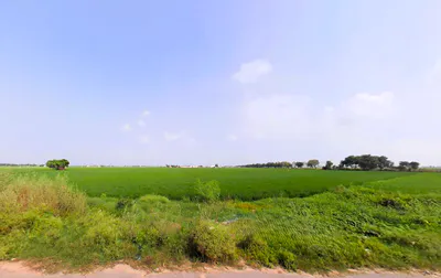 Lukhi, Haryana 136119, India preview 3