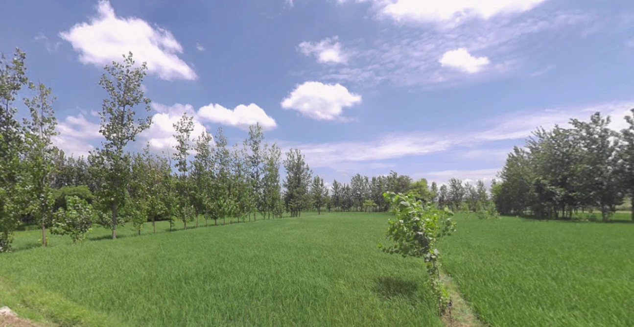 Dehradun Rd, Chhutmalpur, Uttar Pradesh, India