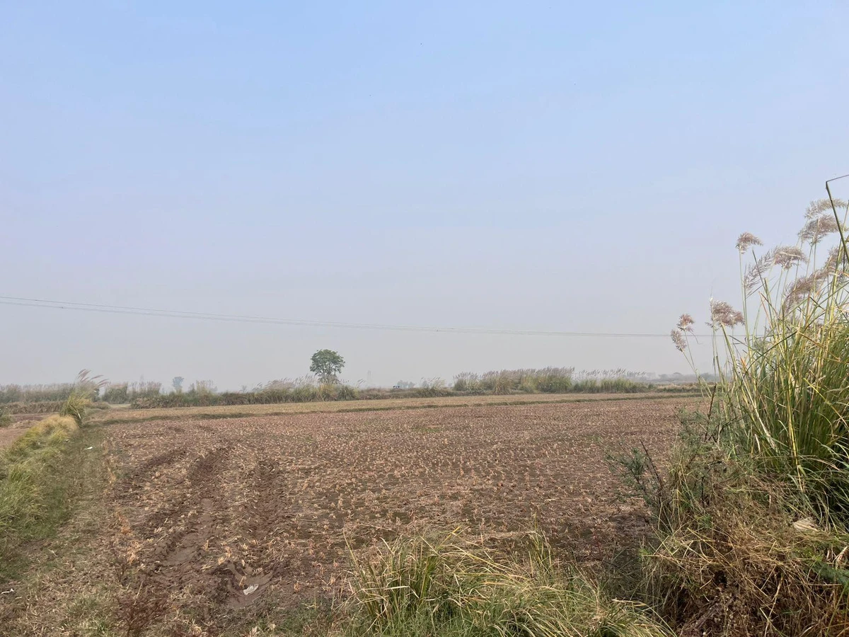 Pondri, Haryana, India