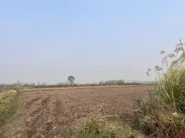 Pondri, Haryana, India preview 4
