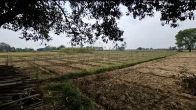 Sarai, Bihar 844125, India preview 2