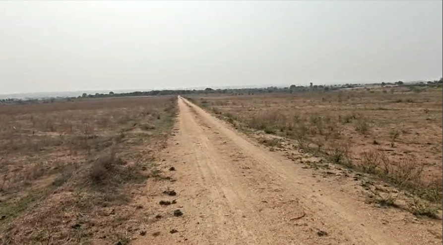 Bambora, Rajasthan 301405, India
