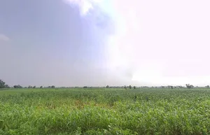 Paharsar, Rajasthan 321602, India preview 2