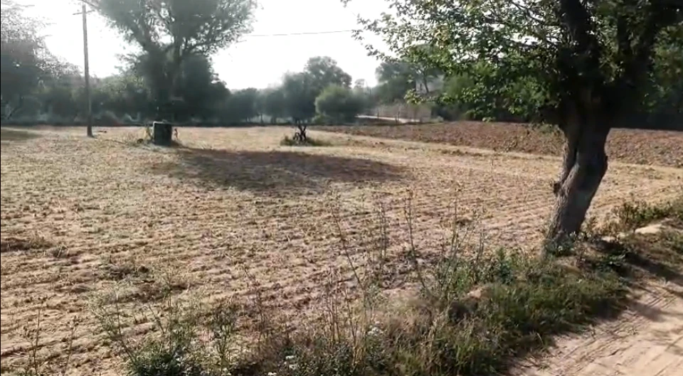 9R2M+JF Markhi, Jaipur, Rajasthan, India
