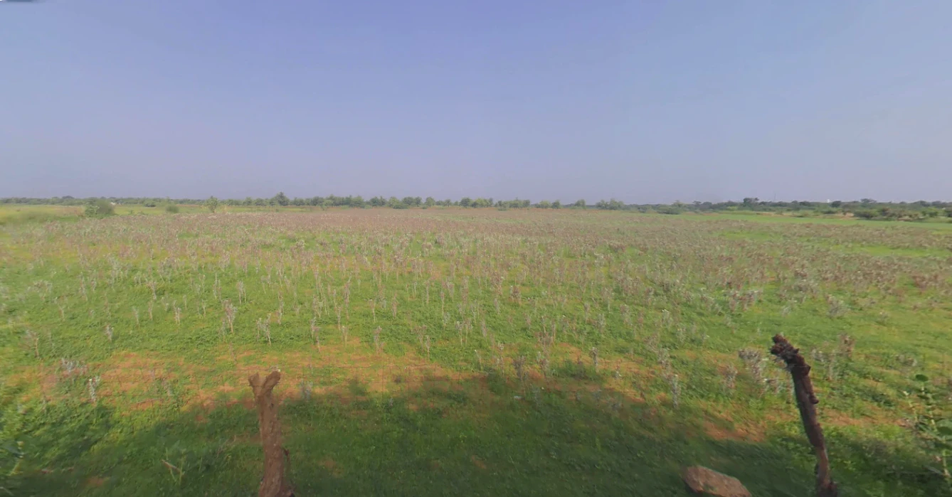 Khachariawas, Rajasthan 332710, India