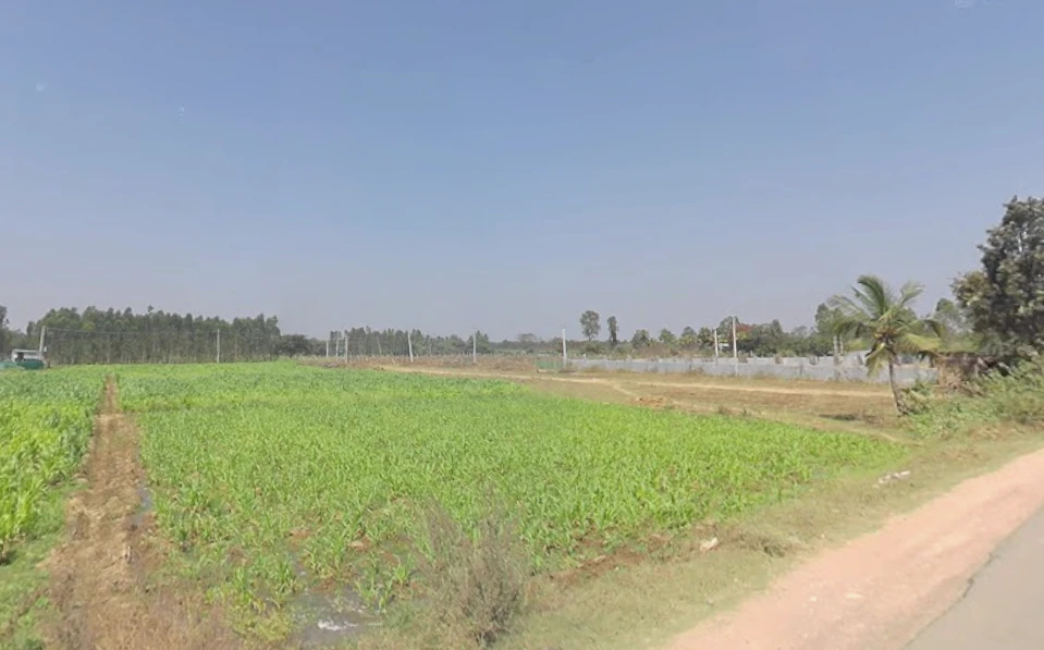 Krishnarajanagara, Karnataka 571602, India