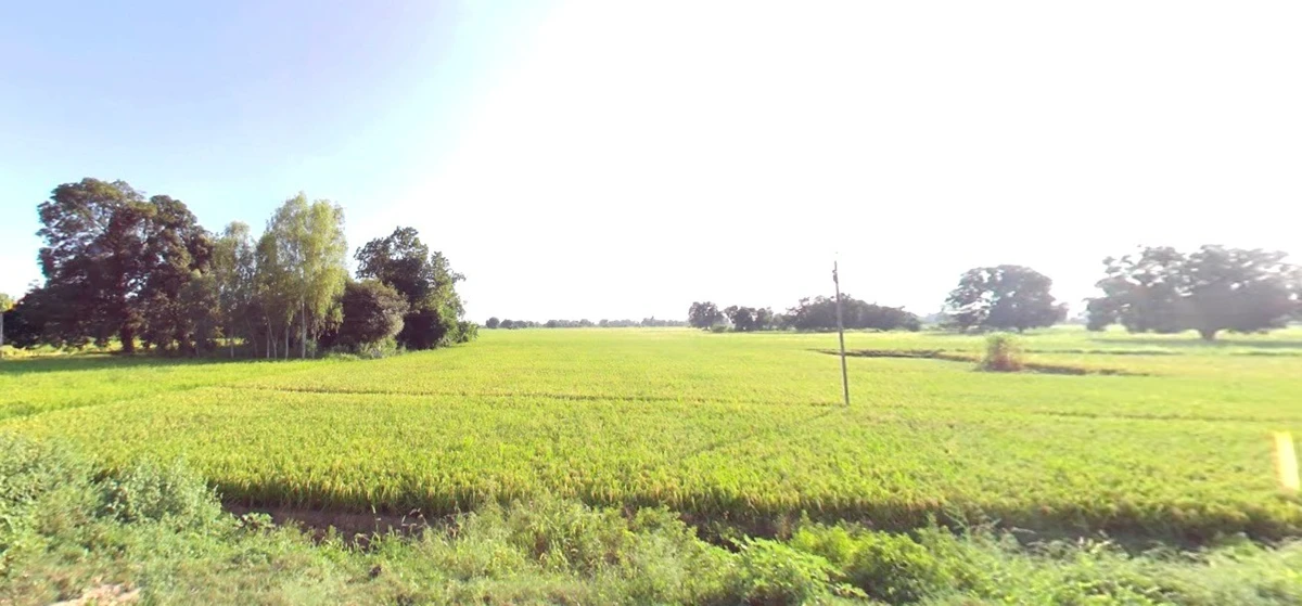 Dhanora, Madhya Pradesh 480999, India