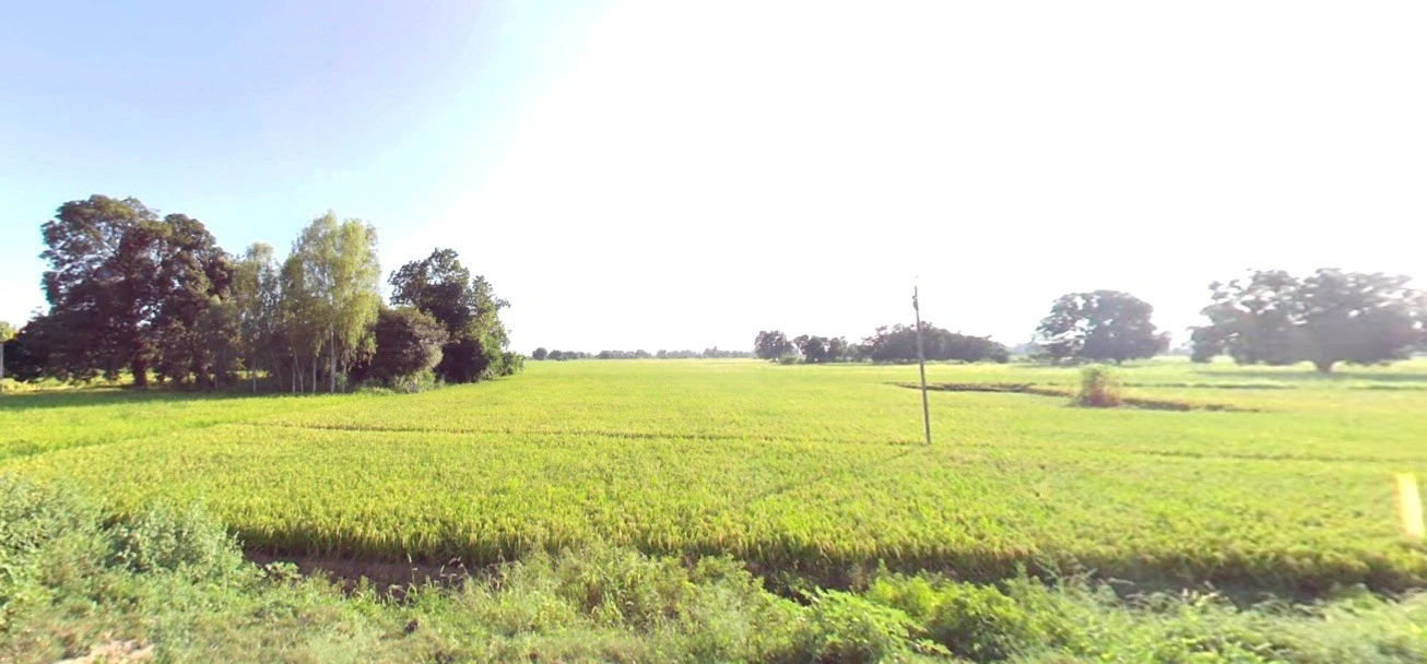 Dhanora, Madhya Pradesh 480999, India