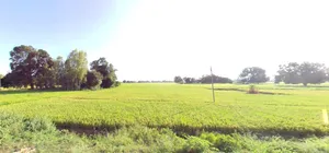 Dhanora, Madhya Pradesh 480999, India preview 2
