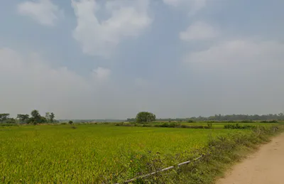 Kankradihi, West Bengal 722146, India preview 3