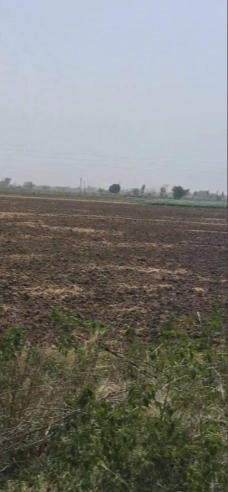 Sargoth, Rajasthan 332404, India