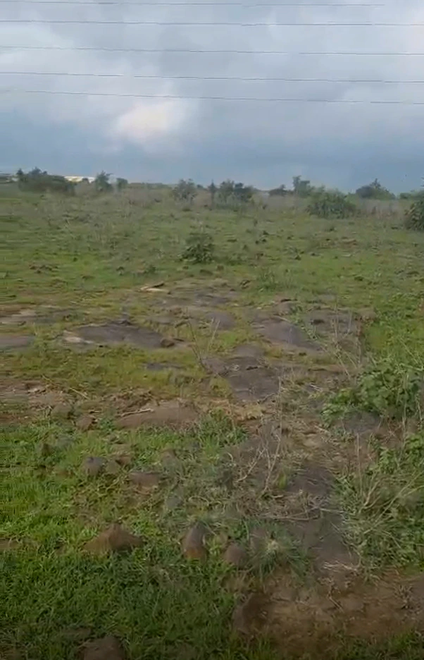 Barkhedi, Bhopal, Madhya Pradesh 464111, India