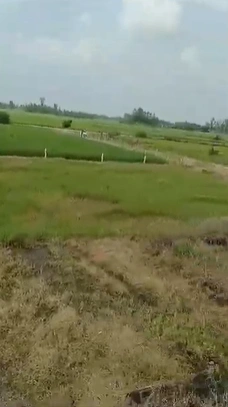 95W5+83 Gopalapeta, Wanaparthy, Telangana, India - Photo 2