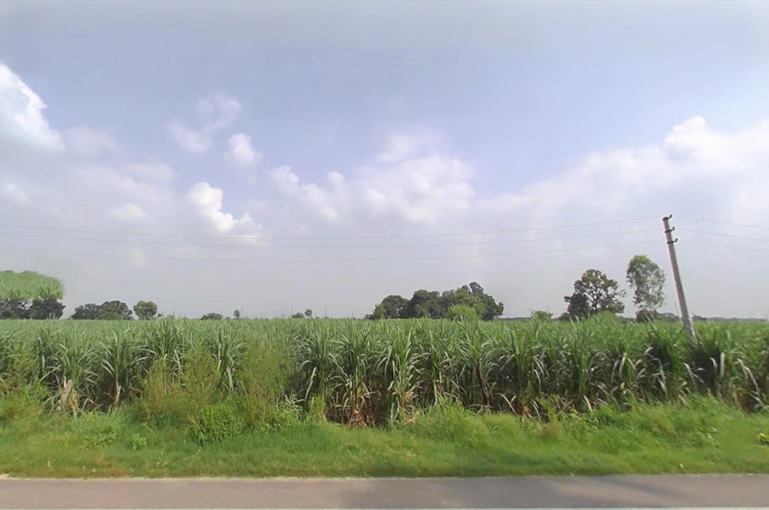 Baraut Rural, Uttar Pradesh, India