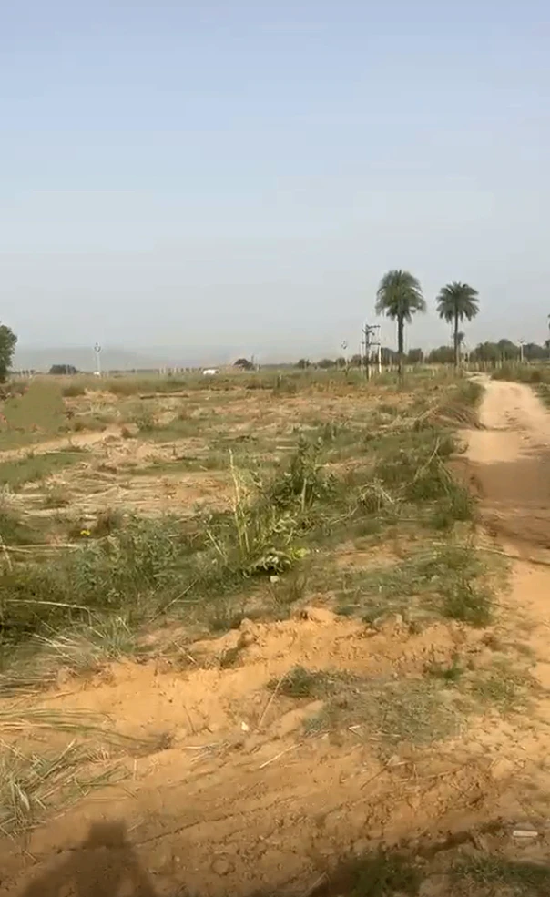 CXP7+QF5, Rampura, Rajasthan 303103, India