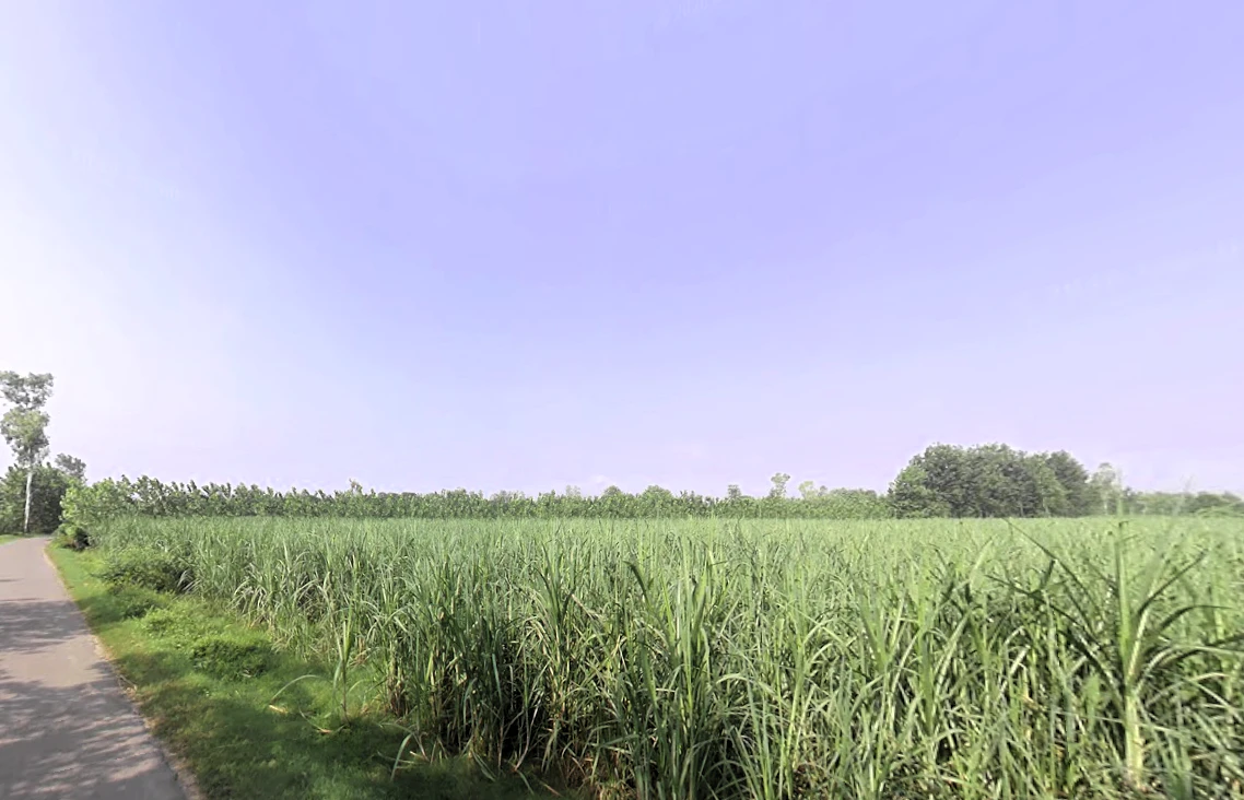 Nakur, Uttar Pradesh 247342, India