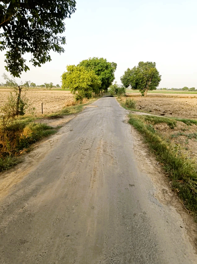Khatu Shyam Ji Temple, Rajasthan 332404, India