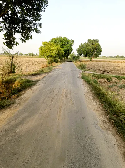 Khatu Shyam Ji Temple, Rajasthan 332404, India preview 3