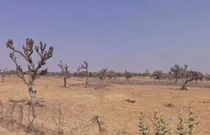 75WF+5Q Danta, Rajasthan, India preview 3