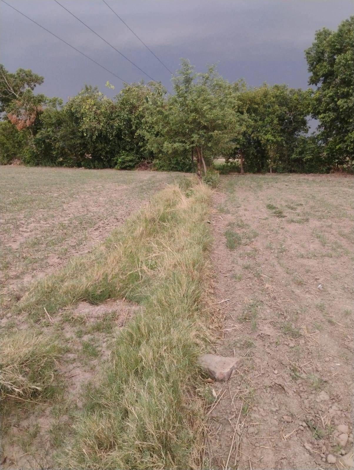 Merta, Rajasthan 341510, India preview 3