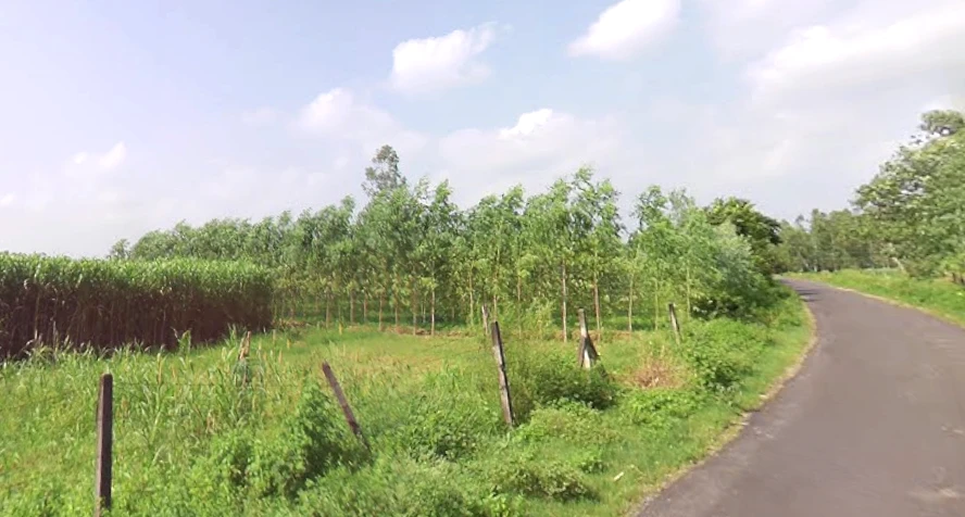 Jaitpur Kalan, Uttar Pradesh 247129, India