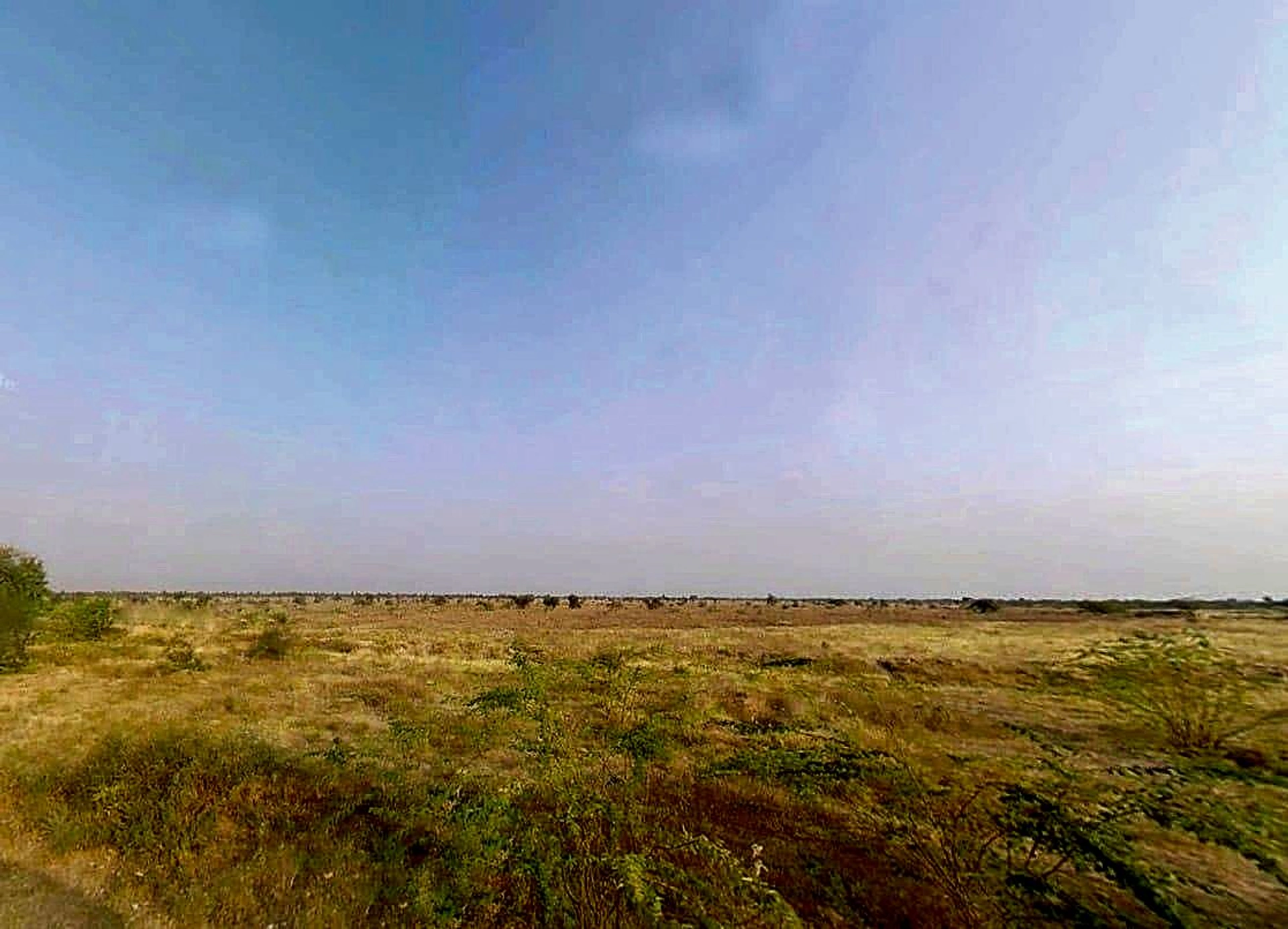 Rohat, Rajasthan 306421, India