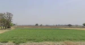 Dewas, Madhya Pradesh 455001, India preview 3