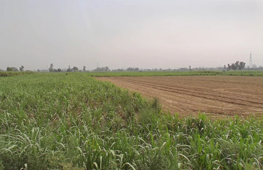 Garh Mukteshwar, Uttar Pradesh 245205, India