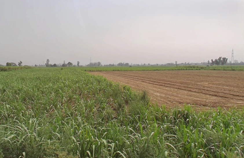 Garh Mukteshwar, Uttar Pradesh 245205, India