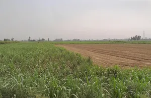 Garh Mukteshwar, Uttar Pradesh 245205, India preview 3