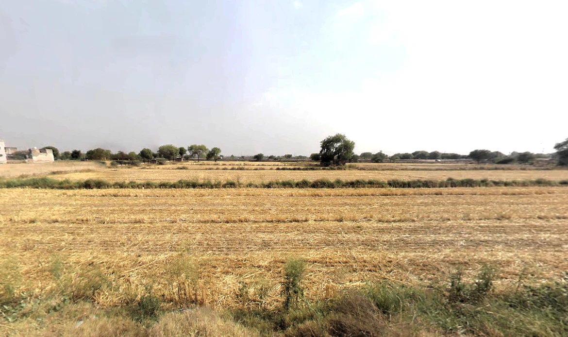 Tajpur Khurd, Delhi, 110071, India