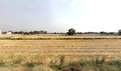 Tajpur Khurd, Delhi, 110071, India preview 3